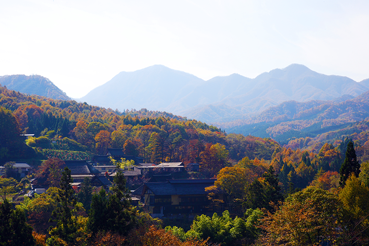 旅籠の魅力-SP