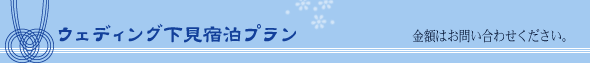 ウェディング下見宿泊プラン